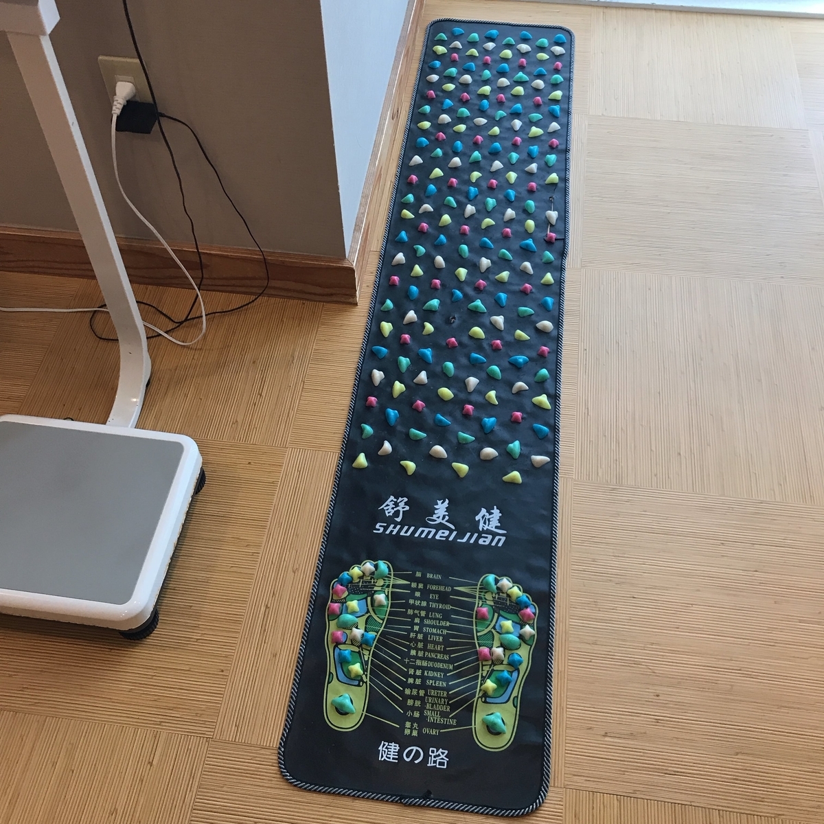 f:id:color-hiyoko:20190903213206j:plain