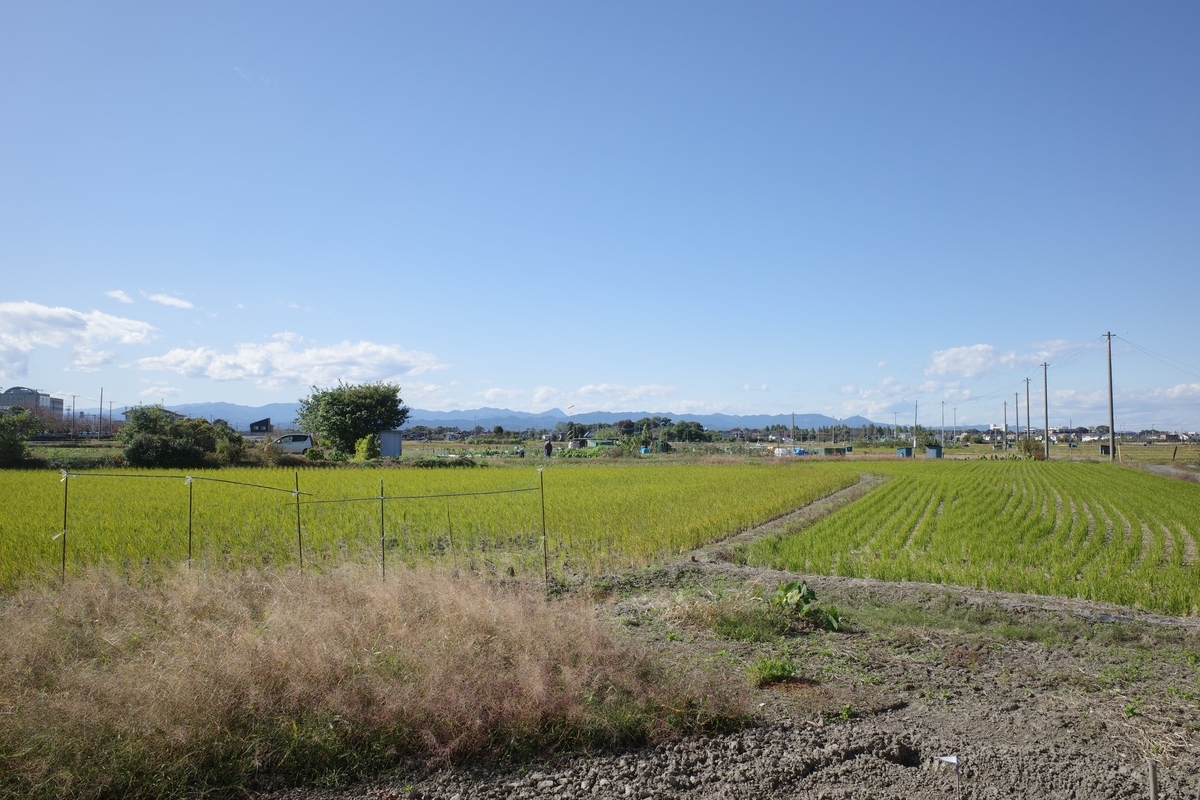 f:id:color-hiyoko:20201106123810j:plain