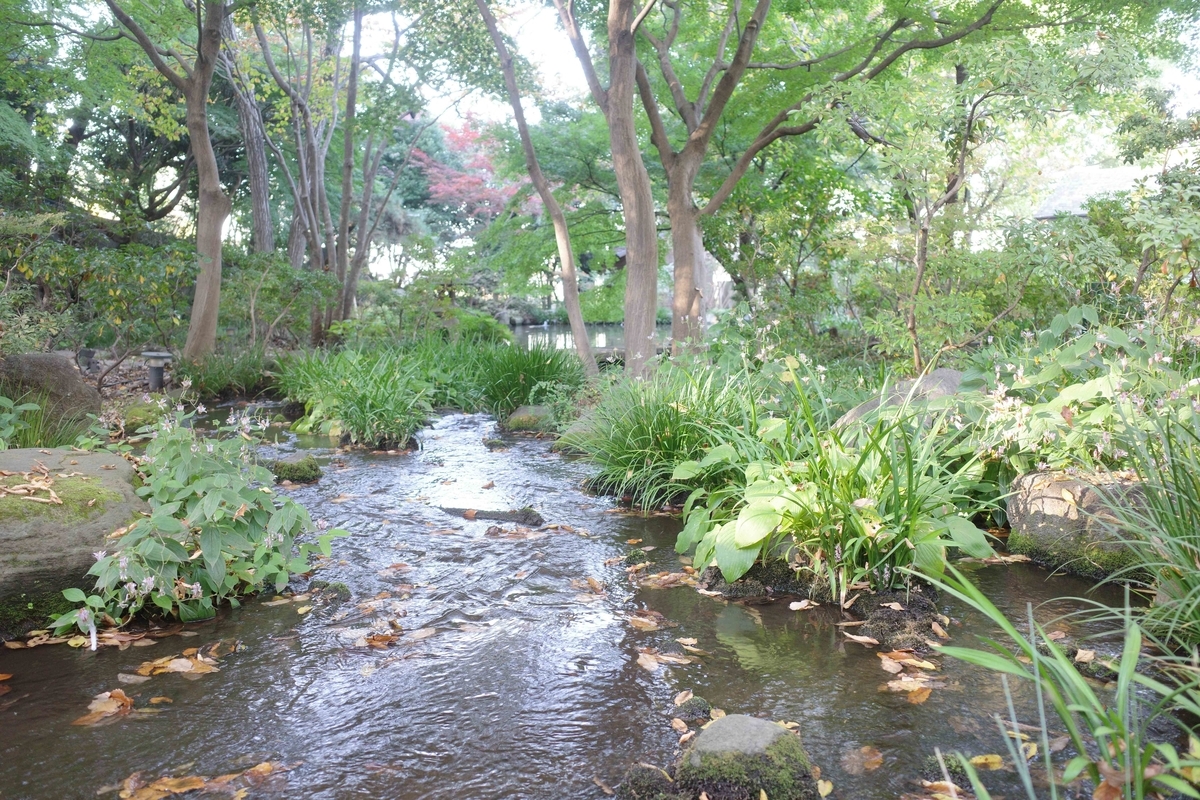 f:id:color-hiyoko:20201118105817j:plain