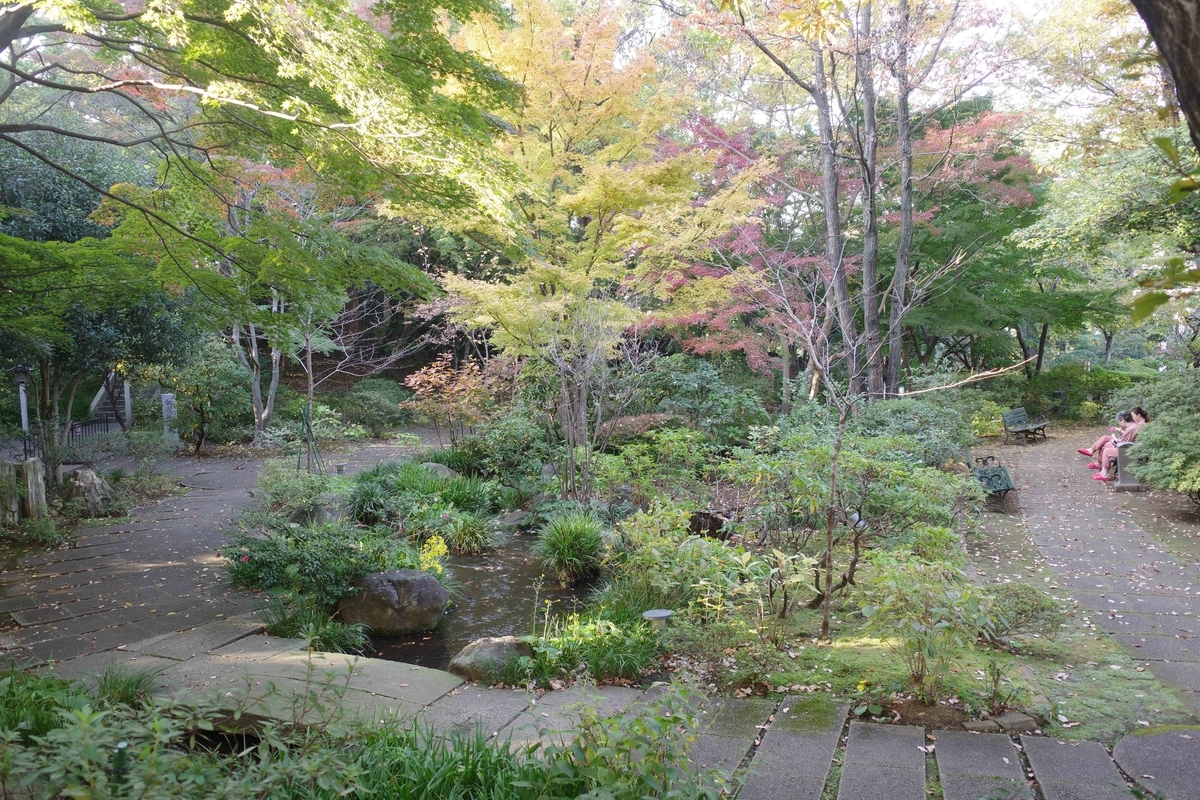 f:id:color-hiyoko:20201118105830j:plain
