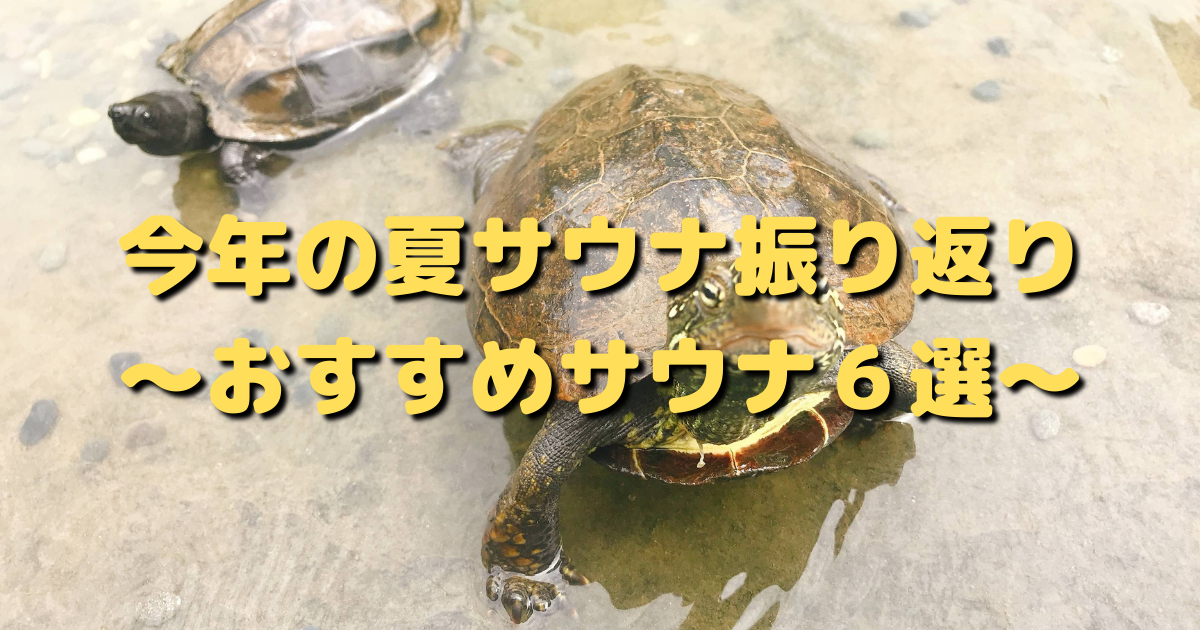 f:id:color-hiyoko:20210829143017p:plain