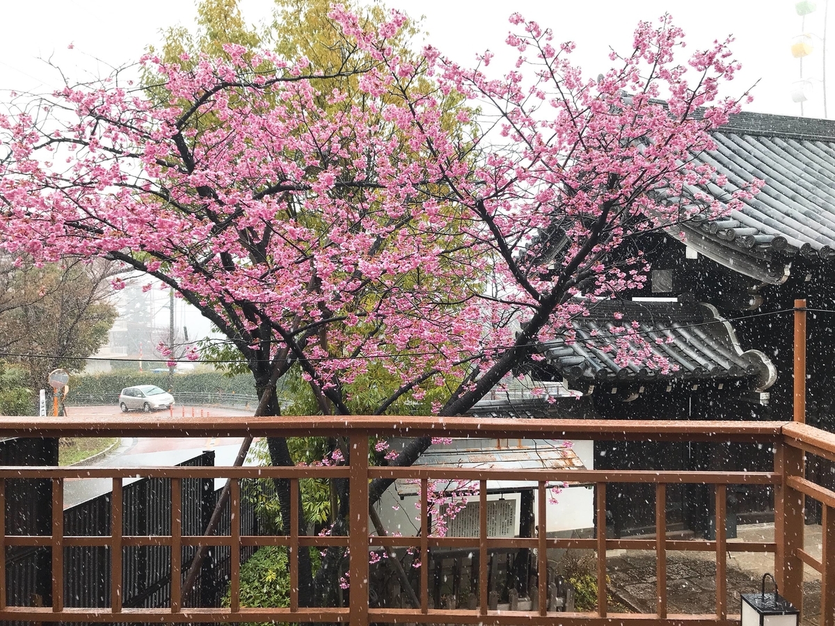 f:id:color-hiyoko:20220322183831j:plain